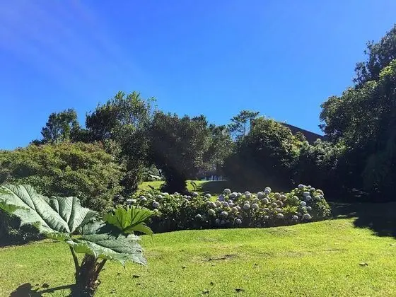 Süit, Bahçe Manzaralı (Quetzal)