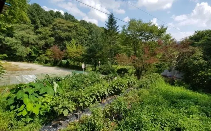 Oda (Group room (Unshared House))