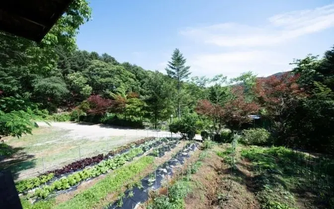 Oda (Group room (Unshared House))