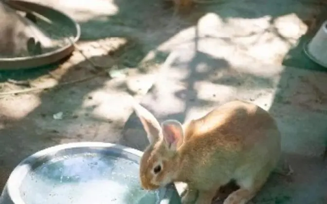 Oda (Group room (Unshared House))