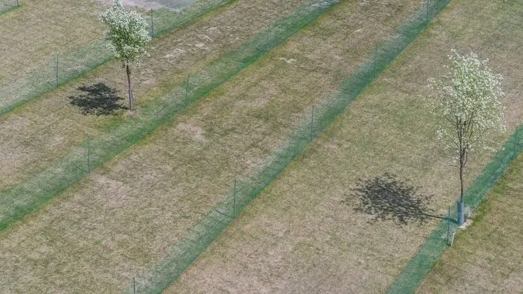 Basic Oda, 1 Yatak Odası (Bed type 3 (3rd or 4th floor Random))