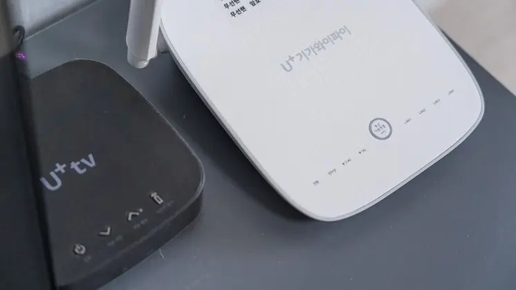 Basic Oda, 1 Yatak Odası (Family Room 2 (4th floor Room Random))