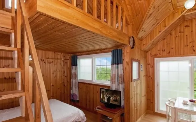 Oda (Dalmatyi (Duplex))