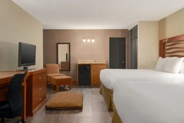 Standard Oda, 2 Büyük (Queen) Boy Yatak (Pet Friendly)