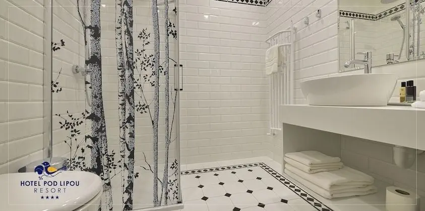 Elite Tek Büyük veya İki Ayrı Yataklı Oda (hotel EVA)