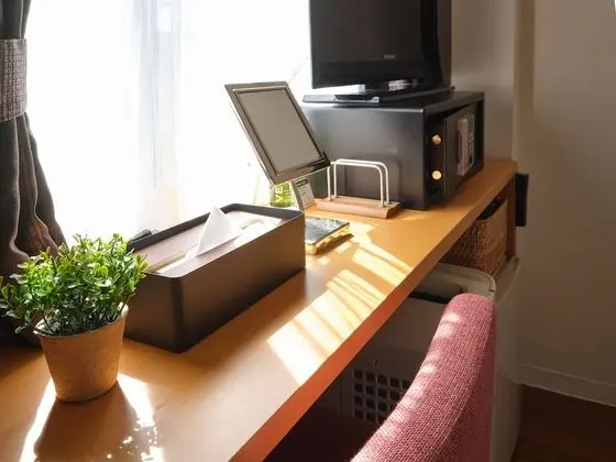 Superior Tek Büyük Yataklı Oda, Sigara İçilmez