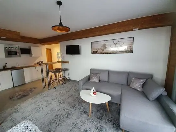 Deluxe Apart Daire (1)