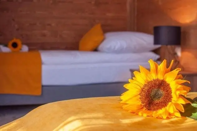 Deluxe Apart Daire (2)