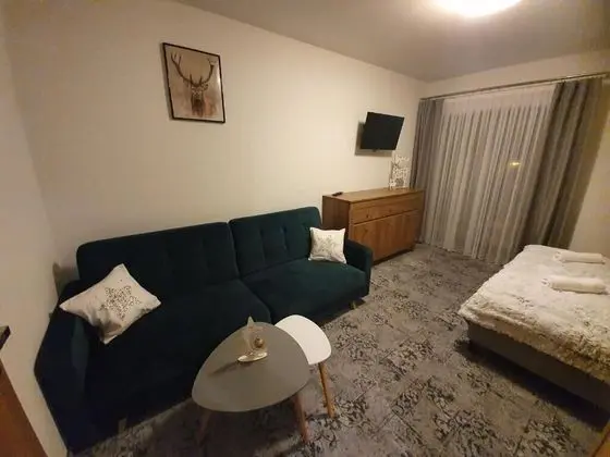 Deluxe Apart Daire (3)