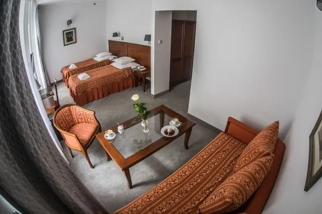 Premium Tek Büyük Yataklı Oda, 1 Yatak Odası, Avlu Manzaralı