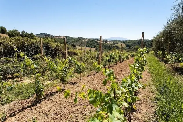 Villa, Birden Çok Yatak Odası, Engellilere Uygun, Şömine