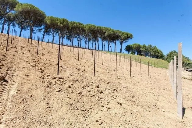 Villa, Birden Çok Yatak Odası, Engellilere Uygun, Şömine