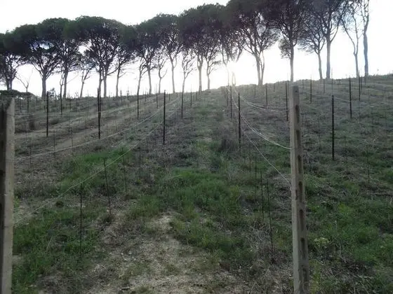 Villa, Birden Çok Yatak Odası, Engellilere Uygun, Şömine