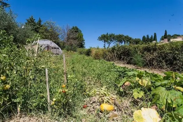 Villa, Birden Çok Yatak Odası, Engellilere Uygun, Şömine