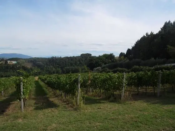 Villa, Birden Çok Yatak Odası, Engellilere Uygun, Şömine