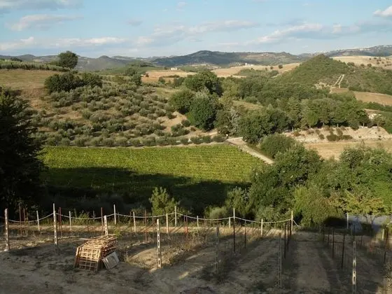 Villa, Birden Çok Yatak Odası, Engellilere Uygun, Şömine