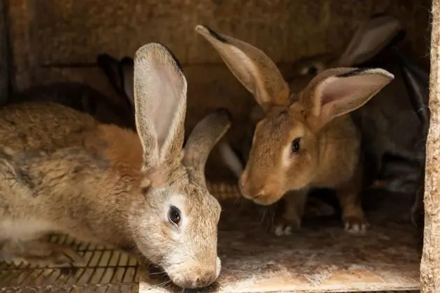 Villa, Birden Çok Yatak Odası, Engellilere Uygun, Şömine