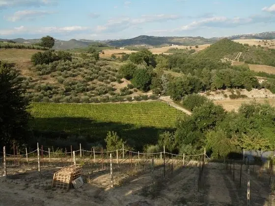 Villa, Birden Çok Yatak Odası, Engellilere Uygun, Şömine