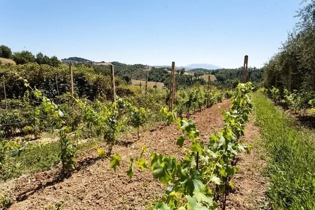 Villa, Birden Çok Yatak Odası, Engellilere Uygun, Şömine