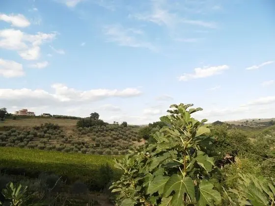 Villa, Birden Çok Yatak Odası, Engellilere Uygun, Şömine