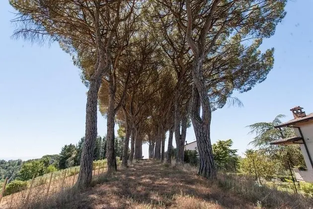 Apart Daire, 1 Yatak Odası, Şömine