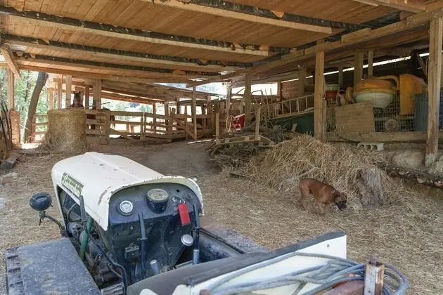 Apart Daire, 1 Yatak Odası, Şömine