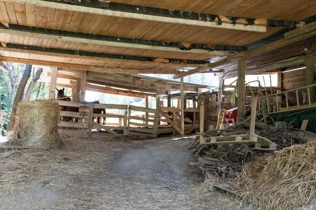 Apart Daire, 1 Yatak Odası, Şömine