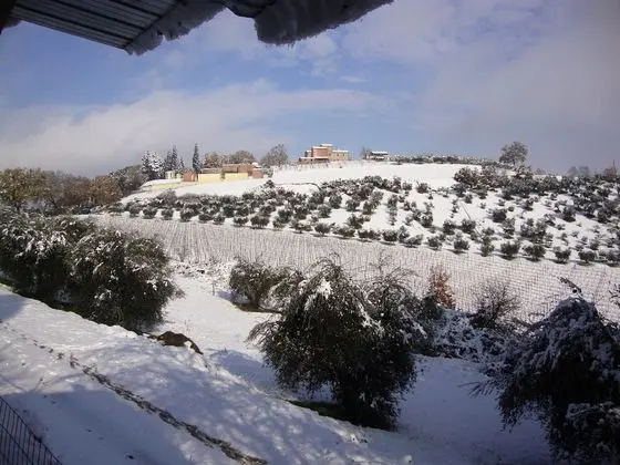 Apart Daire, 1 Yatak Odası, Şömine