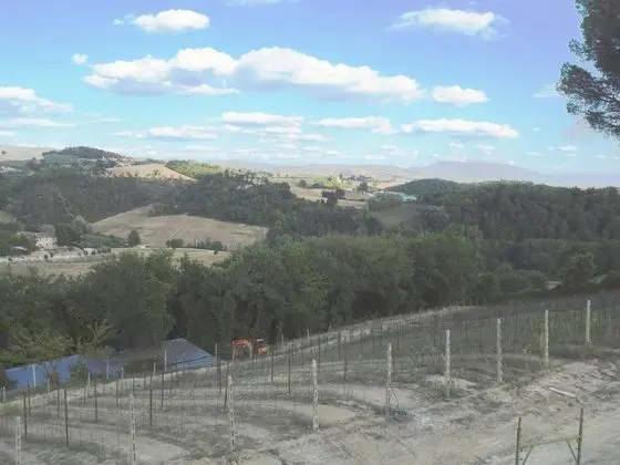 Apart Daire, 1 Yatak Odası, Şömine