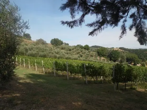 Apart Daire, 1 Yatak Odası, Şömine