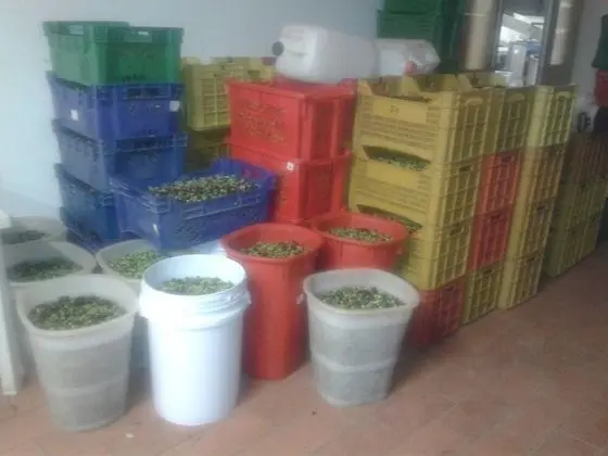 Villa, 4 Yatak Odası