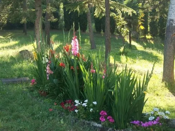 Villa, 4 Yatak Odası