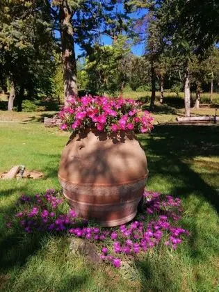 Villa, 4 Yatak Odası