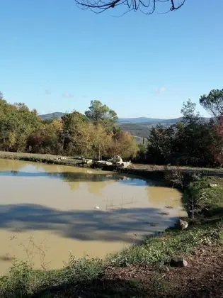 Villa, 4 Yatak Odası