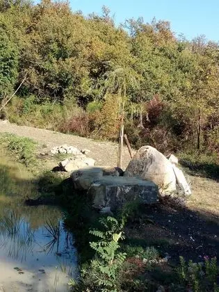 Villa, 4 Yatak Odası