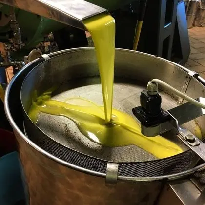 Villa, 4 Yatak Odası