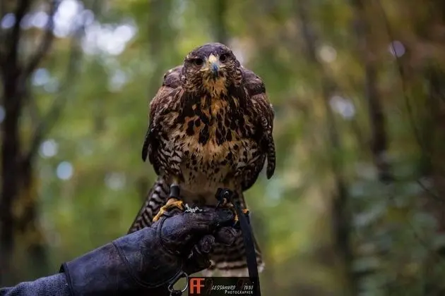 Villa, 4 Yatak Odası