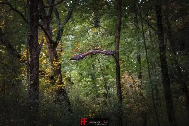 Villa, 4 Yatak Odası