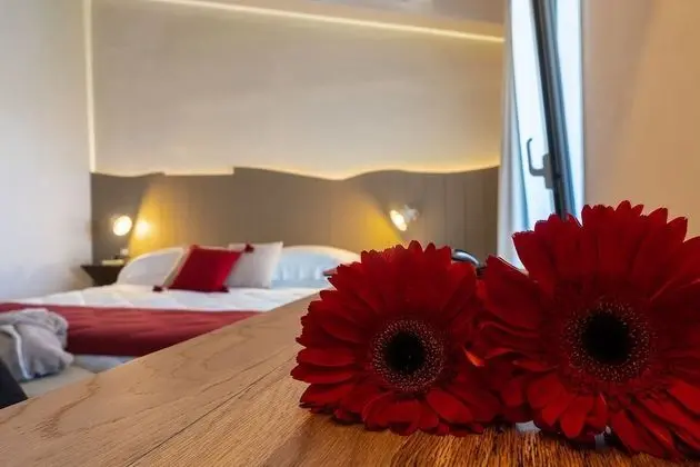 Superior Tek Büyük Yataklı Oda