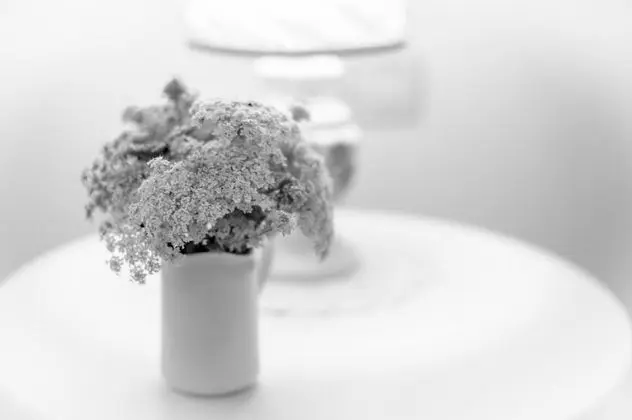 Apart Daire, Sigara İçilebilir