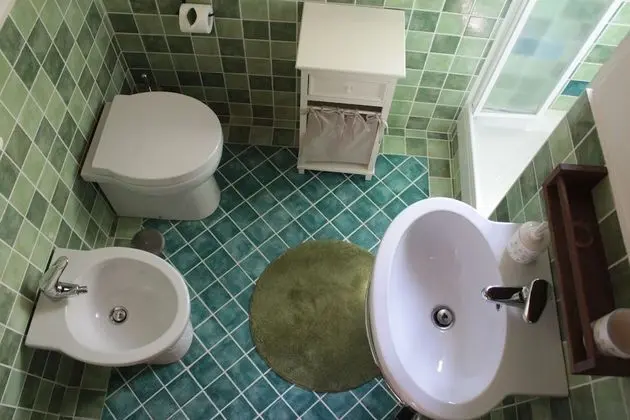 Comfort Tek Büyük Yataklı Oda, 1 Büyük (Queen) Boy Yatak, Banyolu/Duşlu, Bahçe Manzaralı