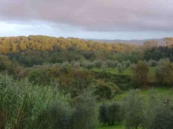 Tek Büyük Yataklı Oda, Avlu Manzaralı