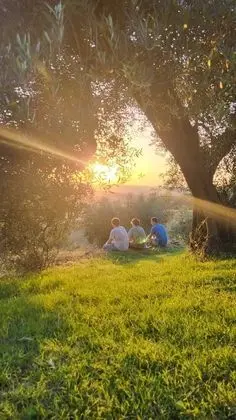 Superior Tek Büyük veya İki Ayrı Yataklı Oda