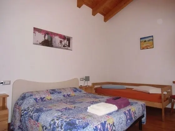 Traditional Tek Büyük Yataklı Oda, Sigara İçilmez