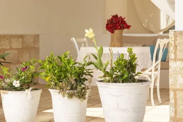 Superior Üç Kişilik Oda, Teras, Bahçe Manzaralı