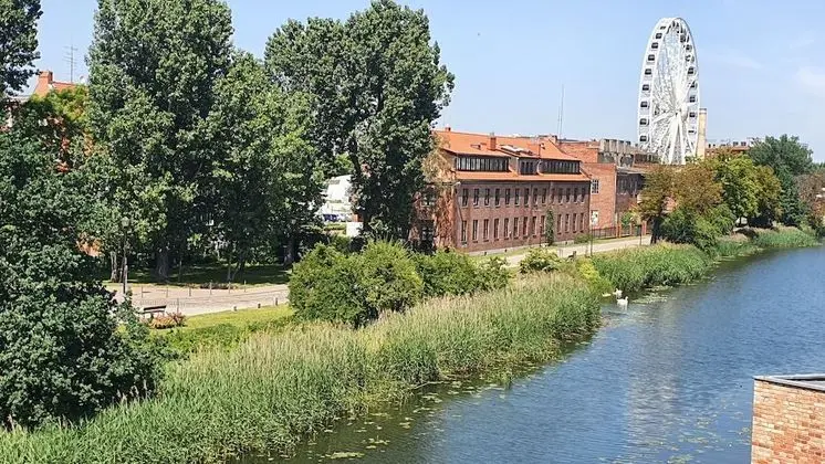 Deluxe Tek Büyük Yataklı Oda, Kanal Manzaralı