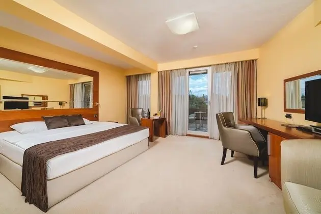 Deluxe Tek Büyük Yataklı Oda, Balkon, Nehir Manzaralı