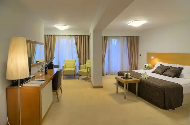 Deluxe Tek Büyük Yataklı Oda, Balkon, Nehir Manzaralı