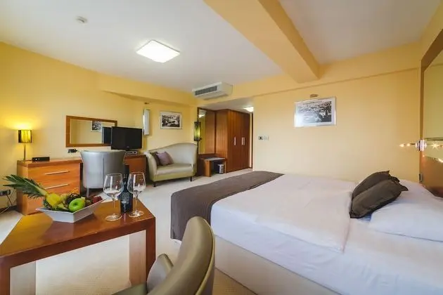 Deluxe Tek Büyük Yataklı Oda, Balkon, Nehir Manzaralı