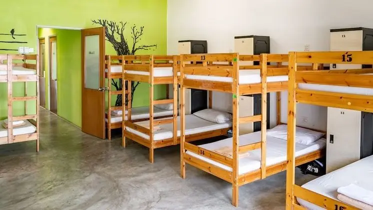16 Bed Mixed Dorm